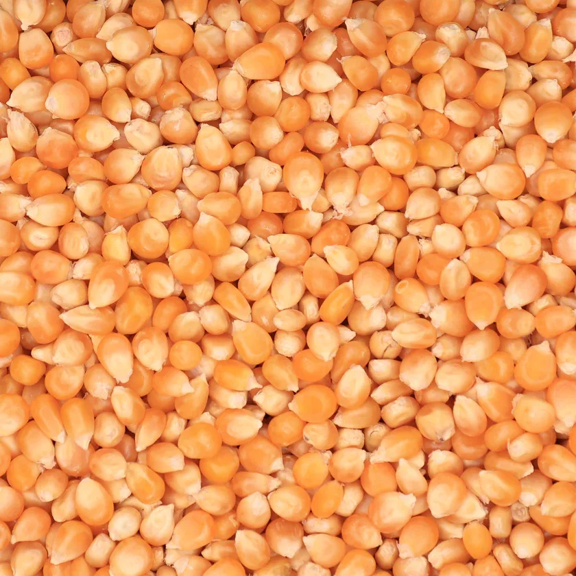 Popcorn 25 porties